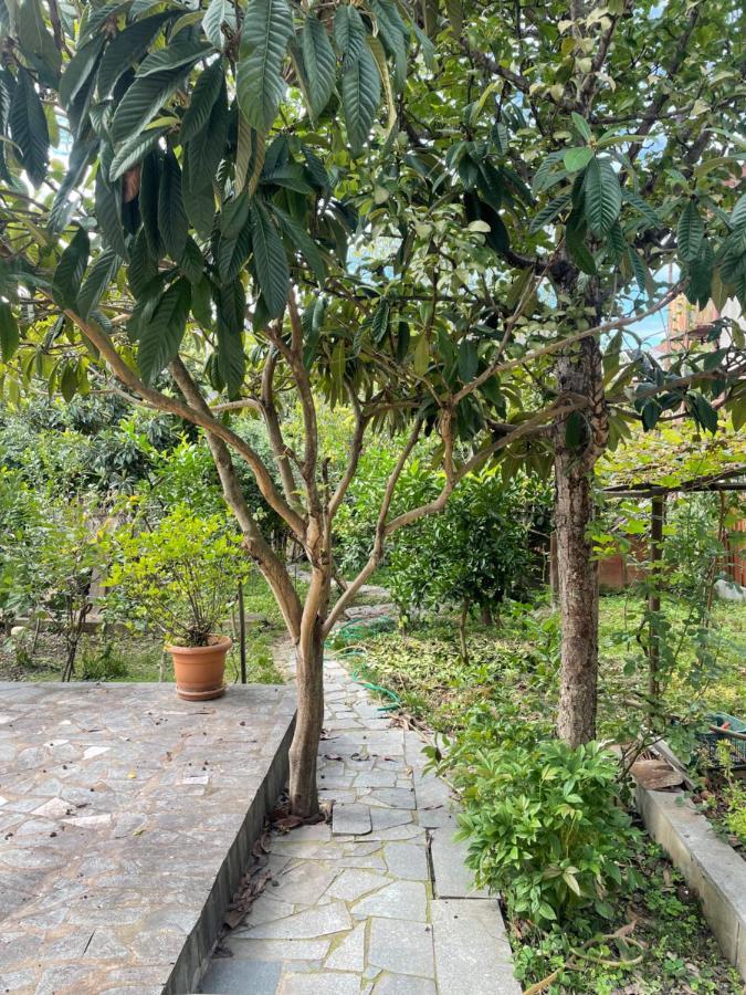 Apartamento Gardenie Kutaisi Exterior foto